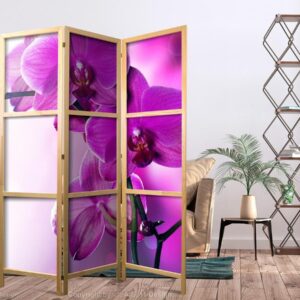 Paravent japonais - Violet Orchids I