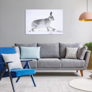 Tableau - Hare (1 Part) Wide