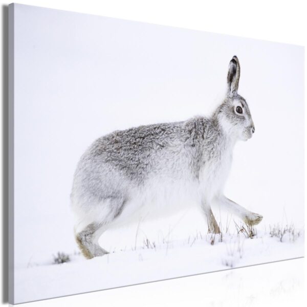 Tableau - Hare (1 Part) Wide Tableau - Hare (1 Part) Wide