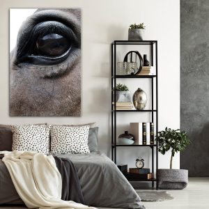Tableau - Honest Eyes (1 Part) Vertical