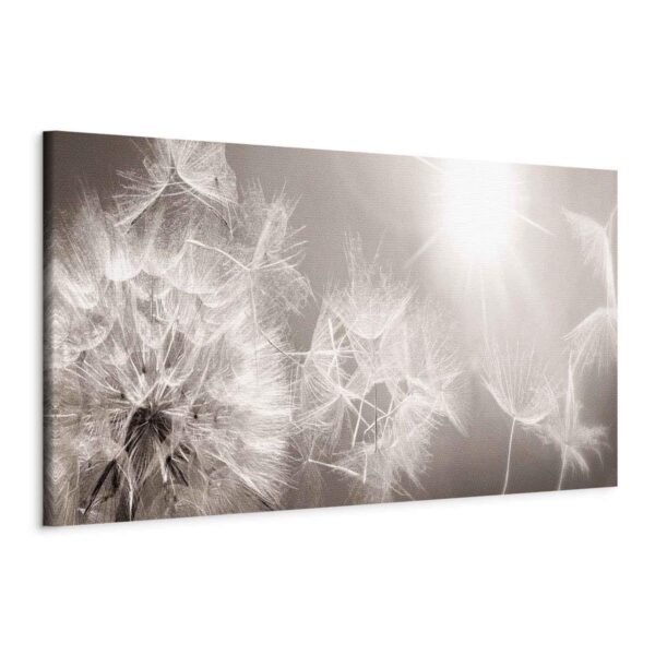 Tableau - Summer Dandelions Tableau - Summer Dandelions