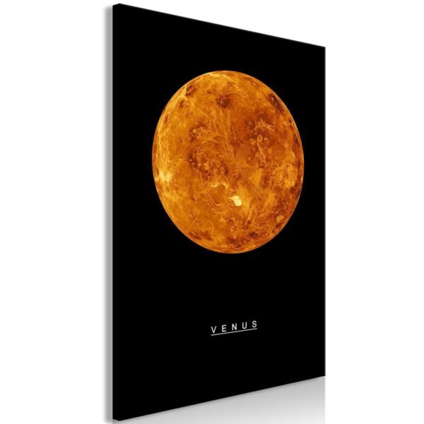 Tableau - Venus (1 Part) Vertical Tableau - Venus (1 Part) Vertical