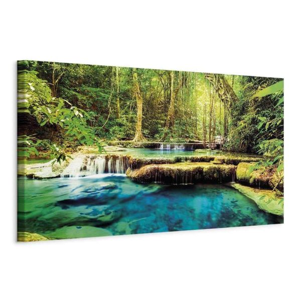 Tableau - A Jewel of Nature Tableau - A Jewel of Nature