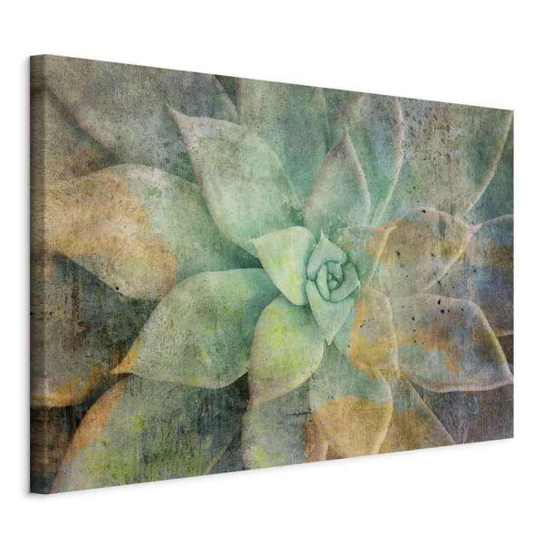 Tableau - Blooming Tones (1 Part) Wide Tableau - Blooming Tones (1 Part) Wide