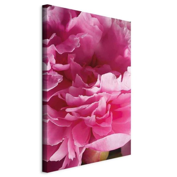 Tableau - Blossom of Beauty (1-part) - Pink Peony Flower Embraced by Nature Tableau - Blossom of Beauty (1-part) - Pink Peony Flower Embraced by Nature