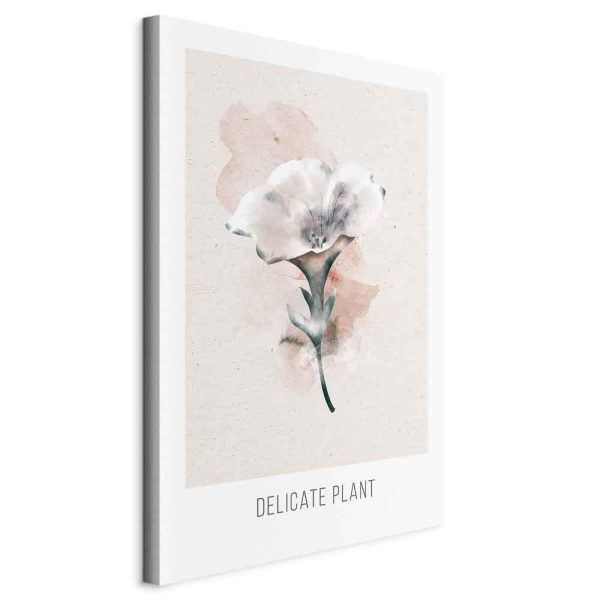 Tableau - Delicate Plant (1 Part) Vertical Tableau - Delicate Plant (1 Part) Vertical