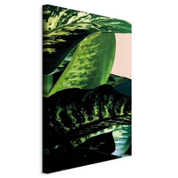 Tableau - Dieffenbachia (1 Part) Vertical Tableau - Dieffenbachia (1 Part) Vertical