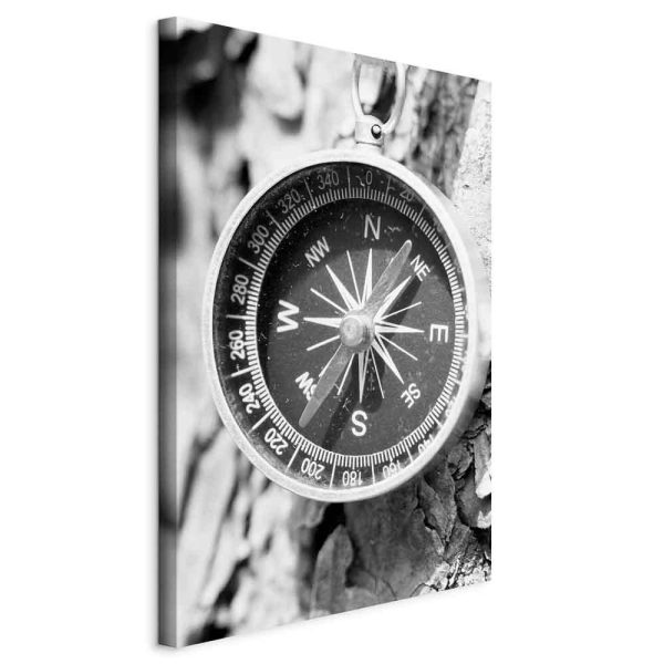 Tableau - Direction of the Road (1-part) - Black and White Compass on Tree Background Tableau - Direction of the Road (1-part) - Black and White Compass on Tree Background
