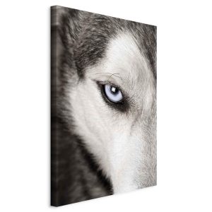 Tableau - Dog's Look (1 Part) Vertical