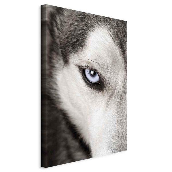 Tableau - Dog's Look (1 Part) Vertical Tableau - Dog's Look (1 Part) Vertical