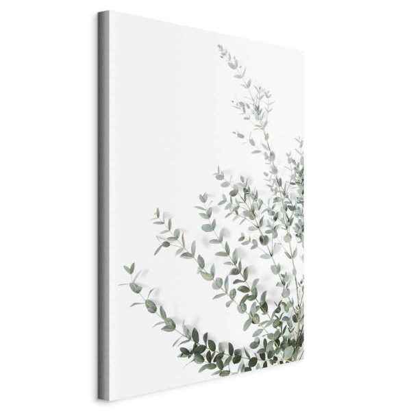 Tableau - Eucalyptus Parvifolia (1 Part) Vertical Tableau - Eucalyptus Parvifolia (1 Part) Vertical