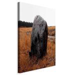 Tableau - Field Signpost (1 Part) Vertical