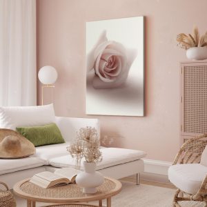 Tableau - Floral Glamour Glow (1-part) - Delicate and Pastel Pink Rose