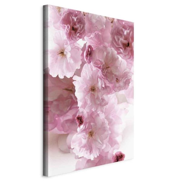 Tableau - Flowery Glamour (1-part) - Flower Petals in Shades of Pink Tableau - Flowery Glamour (1-part) - Flower Petals in Shades of Pink