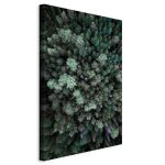 Tableau - Flying Over Forest (1 Part) Vertical