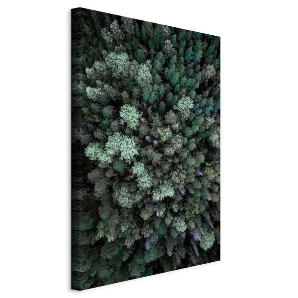 Tableau - Flying Over Forest (1 Part) Vertical Tableau - Flying Over Forest (1 Part) Vertical