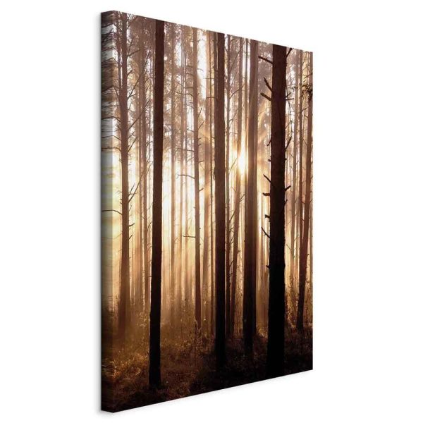 Tableau - Forest Paths (1 Part) Vertical Tableau - Forest Paths (1 Part) Vertical