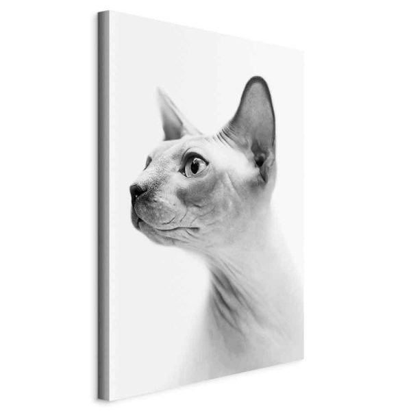 Tableau - Hairless Cat (1 Part) Vertical Tableau - Hairless Cat (1 Part) Vertical
