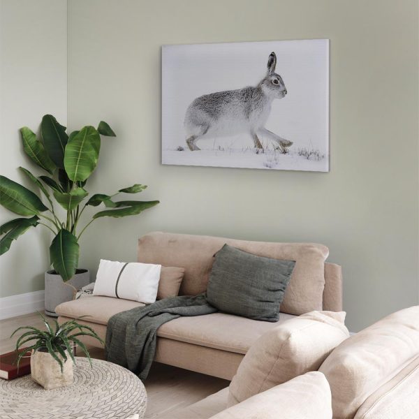 Tableau - Hare (1 Part) Wide