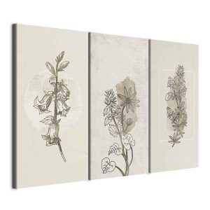 Tableau - Herbarium (3 Parts)