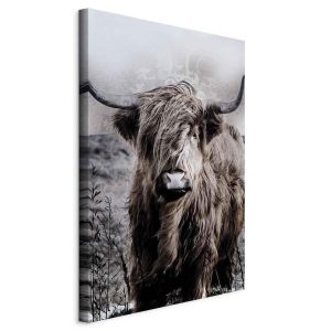 Tableau - Highland Cow in Sepia