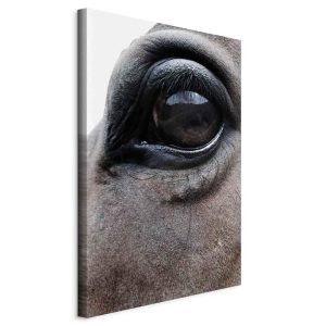 Tableau - Honest Eyes (1 Part) Vertical