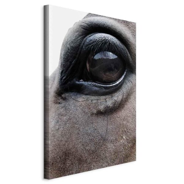 Tableau - Honest Eyes (1 Part) Vertical Tableau - Honest Eyes (1 Part) Vertical