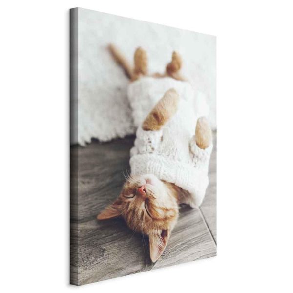 Tableau - Lazy Cat (1 Part) Vertical Tableau - Lazy Cat (1 Part) Vertical