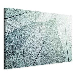 Tableau - Macroflora (1 Part) Wide