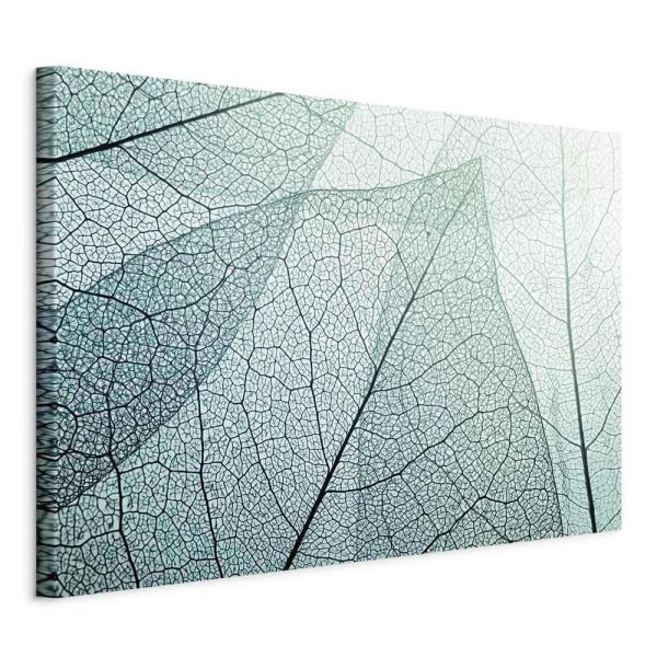 Tableau - Macroflora (1 Part) Wide Tableau - Macroflora (1 Part) Wide