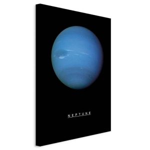 Tableau - Neptune (1 Part) Vertical
