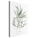 Tableau - Nicholia Eucalyptus (1 Part) Vertical