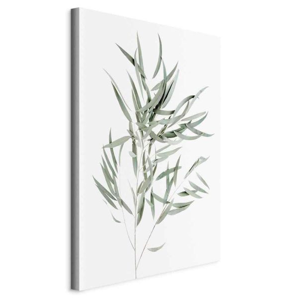 Tableau - Nicholia Eucalyptus (1 Part) Vertical Tableau - Nicholia Eucalyptus (1 Part) Vertical