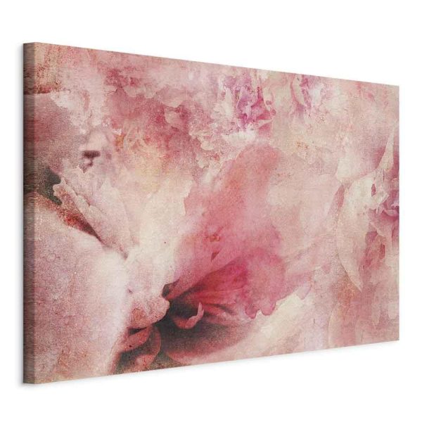 Tableau - Pink Etude (1 Part) Wide Tableau - Pink Etude (1 Part) Wide