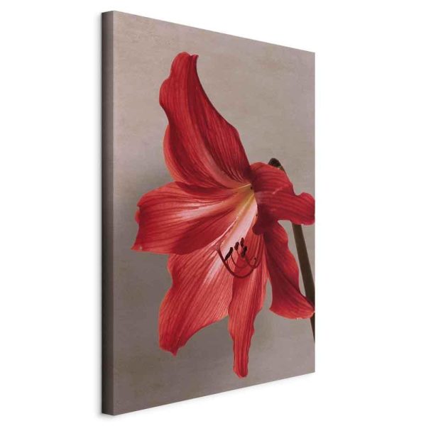 Tableau - Red Flower (1 Part) Vertical Tableau - Red Flower (1 Part) Vertical