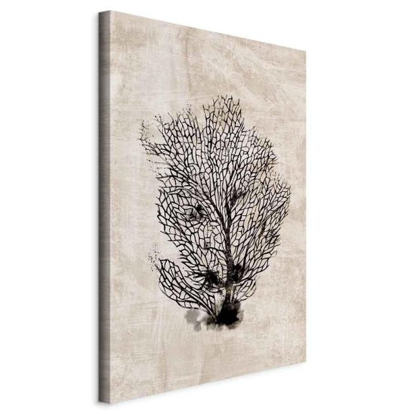 Tableau - Sea Fan (1 Part) Vertical Tableau - Sea Fan (1 Part) Vertical