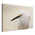 Tableau - Snowy Egret (1 Part) Wide