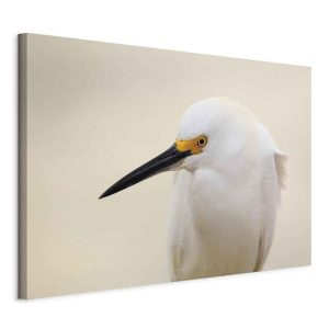 Tableau - Snowy Egret (1 Part) Wide