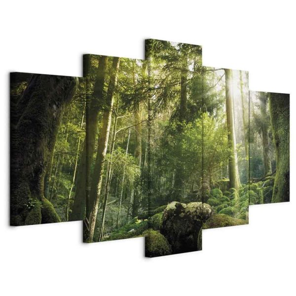 Tableau - The Beauty of the Forest Tableau - The Beauty of the Forest