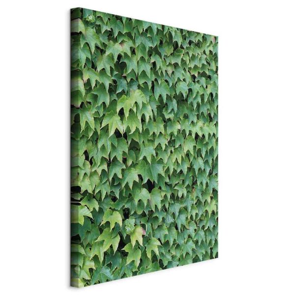Tableau - Thick Ivy (1 Part) Vertical Tableau - Thick Ivy (1 Part) Vertical