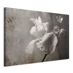 Tableau - Venetian Splendor (1 Part) Wide