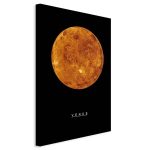 Tableau - Venus (1 Part) Vertical