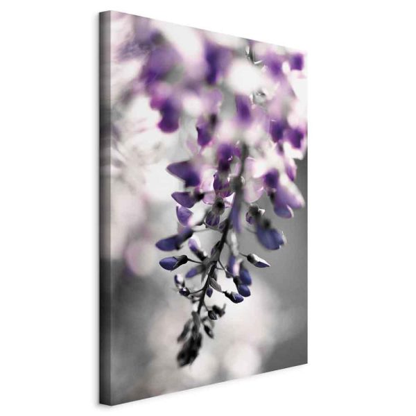 Tableau - Violet Ringtones (1 Part) Vertical Tableau - Violet Ringtones (1 Part) Vertical