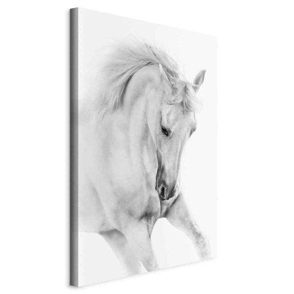 Tableau - White Horse (1 Part) Vertical Tableau - White Horse (1 Part) Vertical