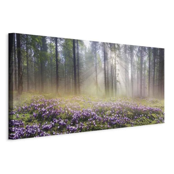 Tableau - Purple Meadow (1 Part) Wide Tableau - Purple Meadow (1 Part) Wide