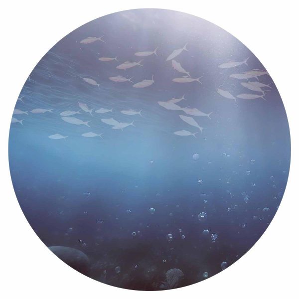 Papier Peint rond - Fish in the depths
