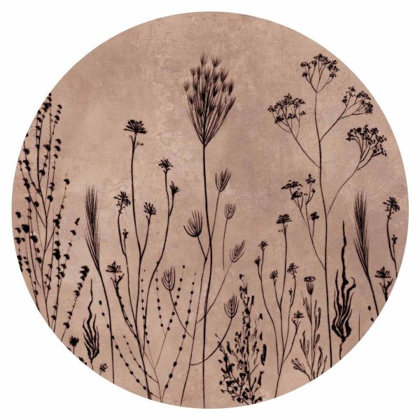 Papier Peint rond - Wildflowers – black plants on lime-wash background
