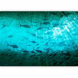 Papier peint - A shoal of dark fish