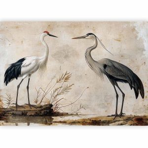 Papier peint - Birds from an old engraving - vintage-style illustration depicting a heron and a crane