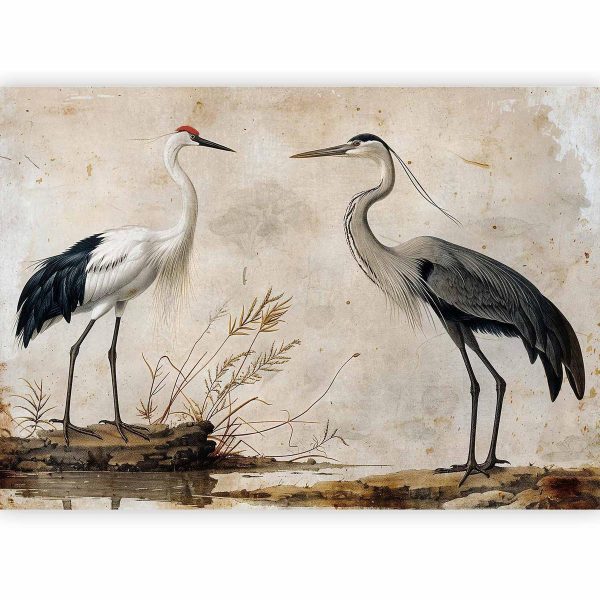 Papier peint - Birds from an old engraving - vintage-style illustration depicting a heron and a crane